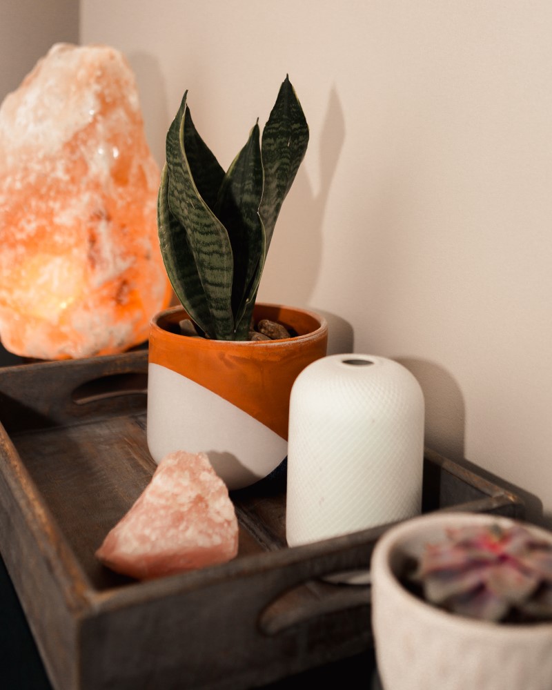 Plant next to a salt lamp and candle